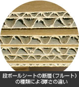 型式による厚さの違い